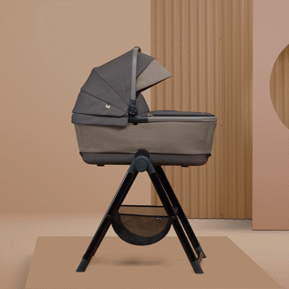 Carrycot stand