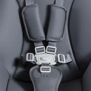5-point safety harness
