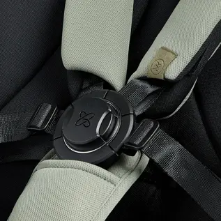 Genius™ magnetic buckle