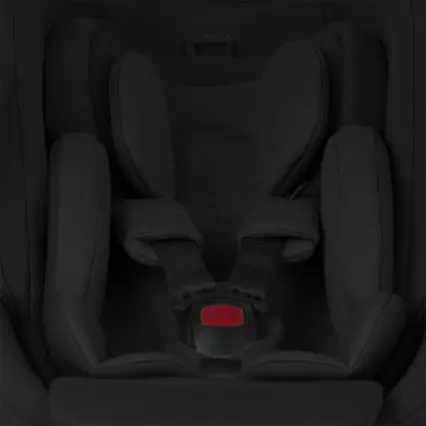 Newborn insert