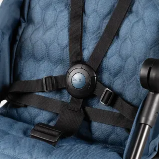 5-point safety harness