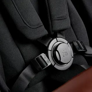 Genius™ buckle