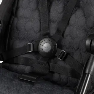 5-point safety harness