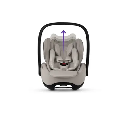 Adjustable head support