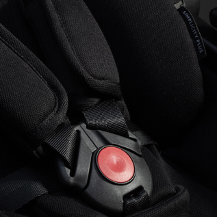 5-point safety harness