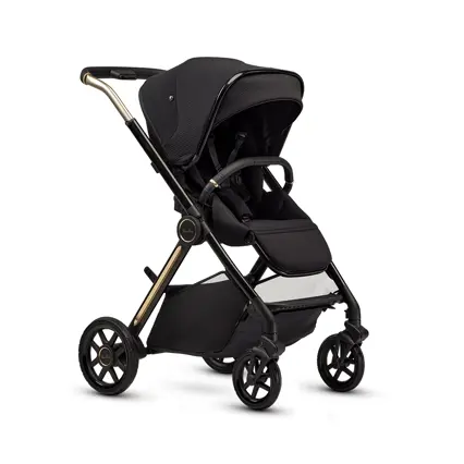 Reef 2 Special Edition chassis and seat