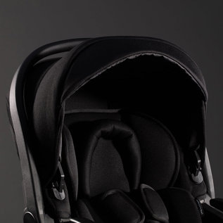 Newborn insert