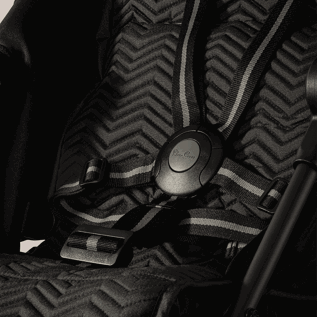 5-point safety harness