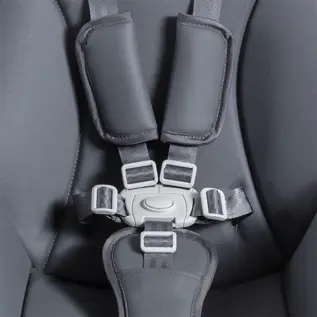 5-point safety harness