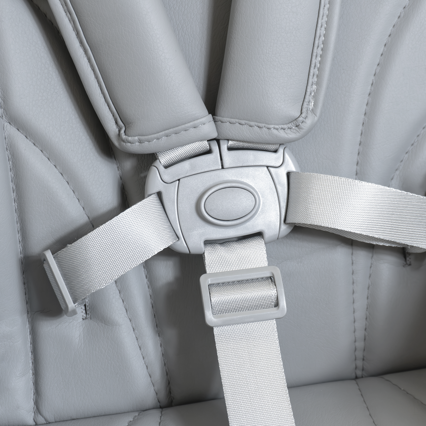 Five-point safety harness